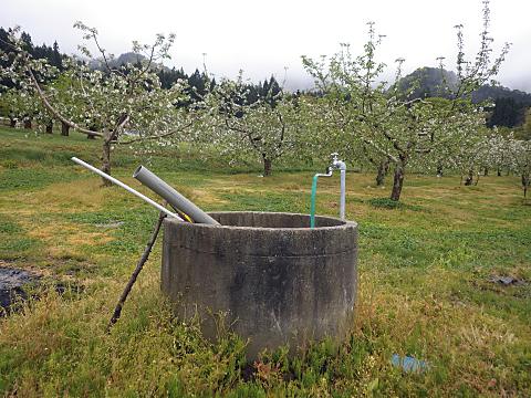 ��񂲔��̗����オ��